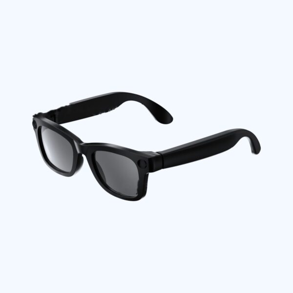 AI Smart Glasses